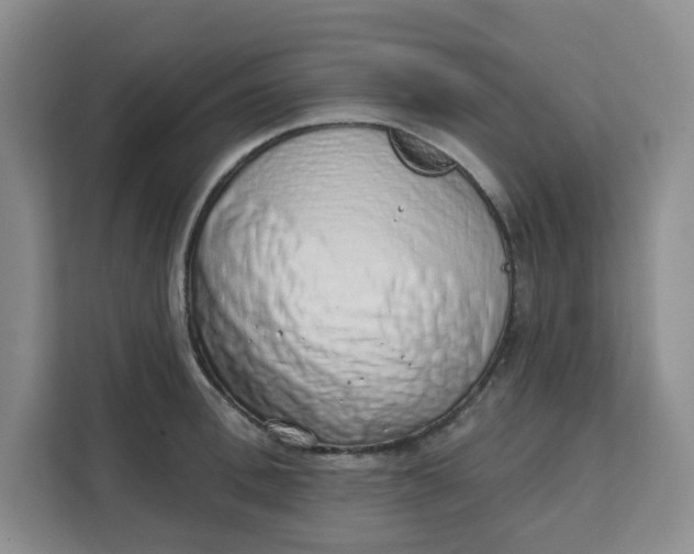X0000111130996200907141207