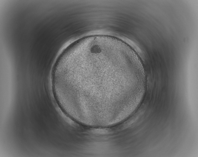 X0000111130998200907141207