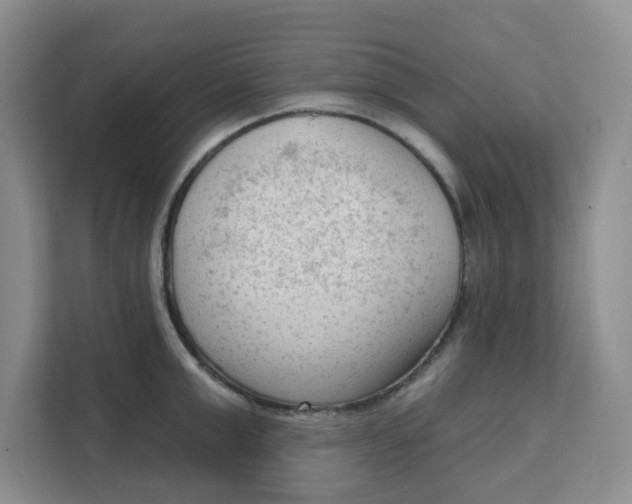 X0000111130999200907141207
