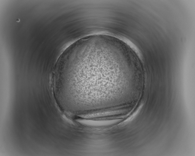 X0000111131001200907141207