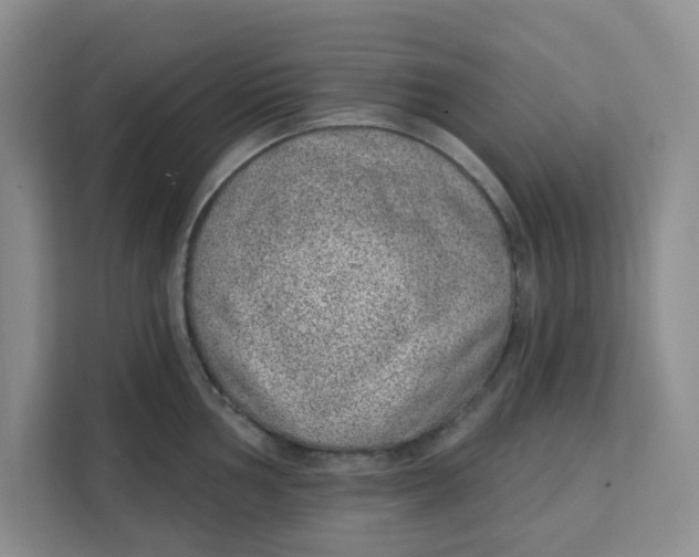 X0000111131002200907141207