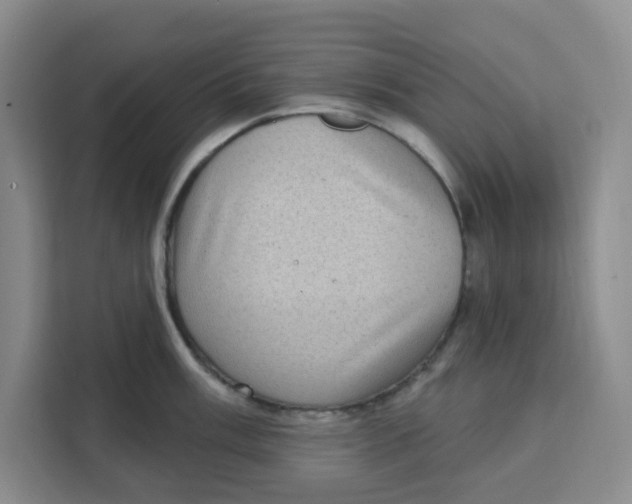 X0000111131003200907141207