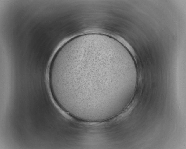 X0000111131005200907141207
