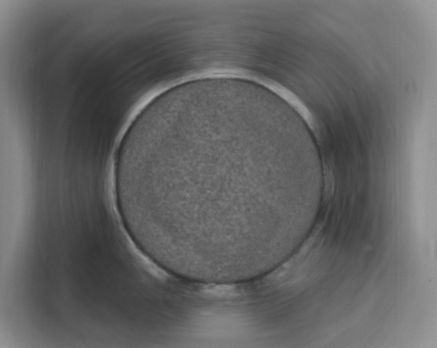 X0000111131006200907141207