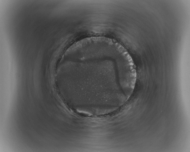 X0000111131009200907141206