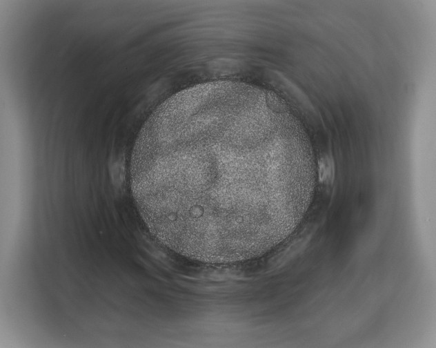 X0000111131011200907141206
