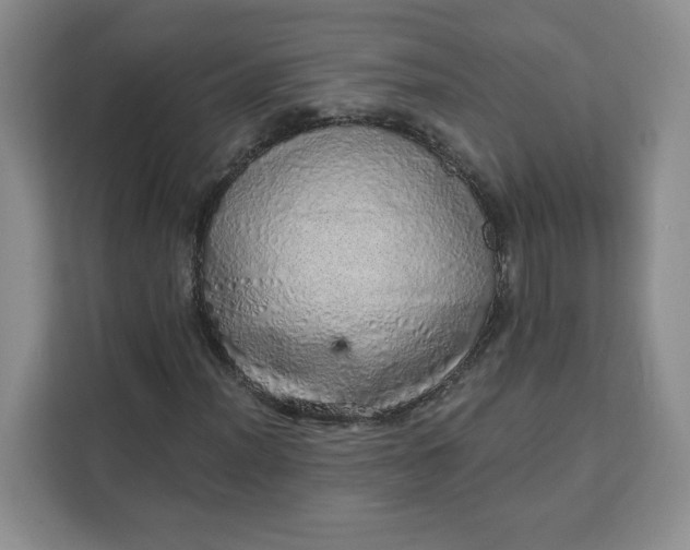 X0000111131012200907141206