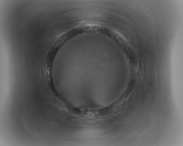 X0000111131013200907141206