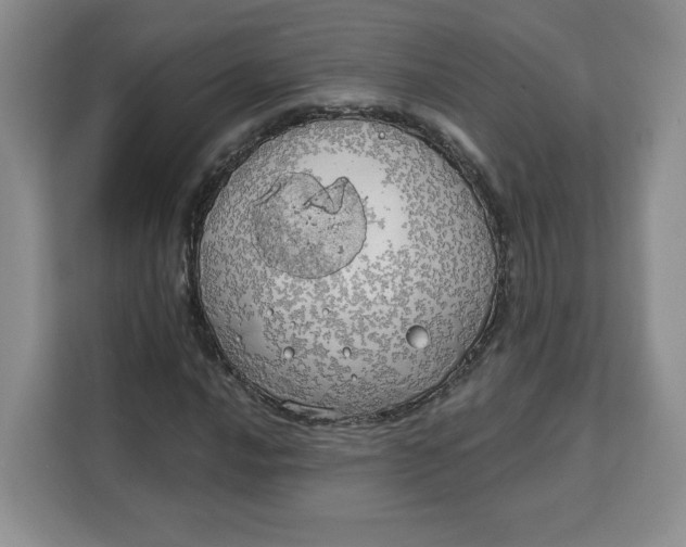 X0000111131016200907141206