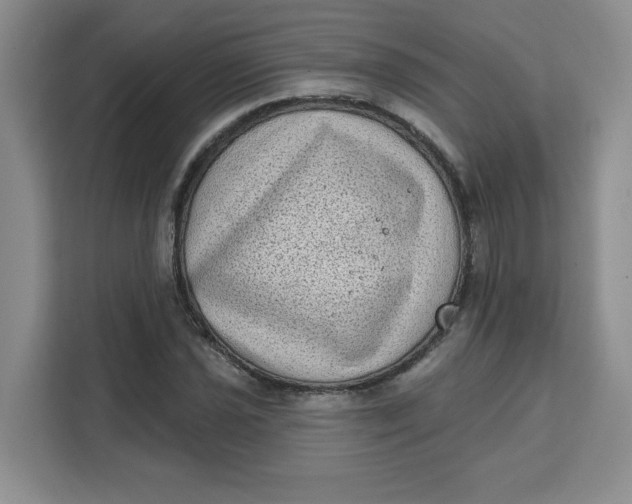 X0000111131021200907141206