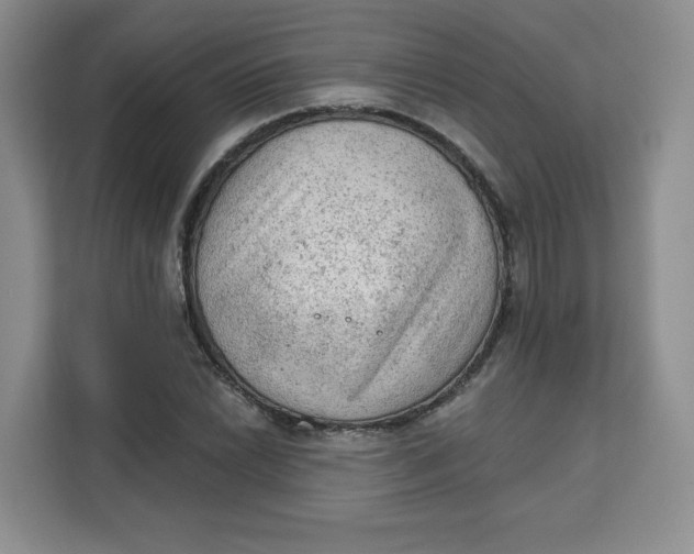 X0000111131022200907141206