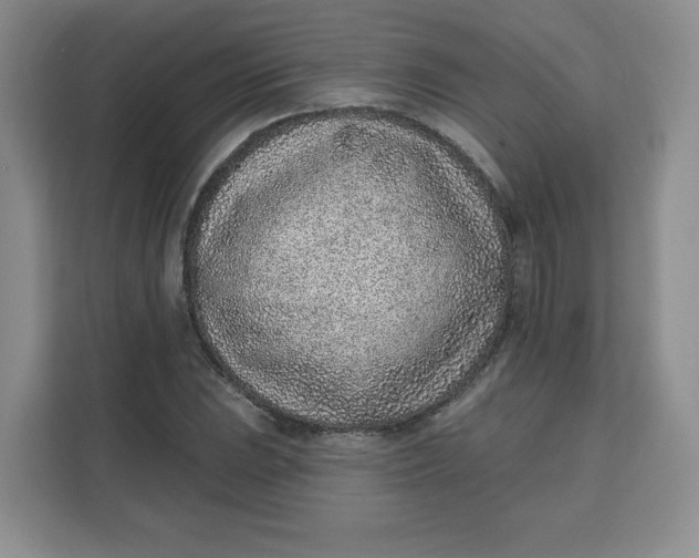 X0000111131023200907141206