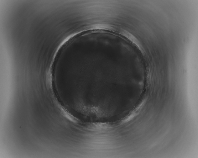 X0000111131024200907141206