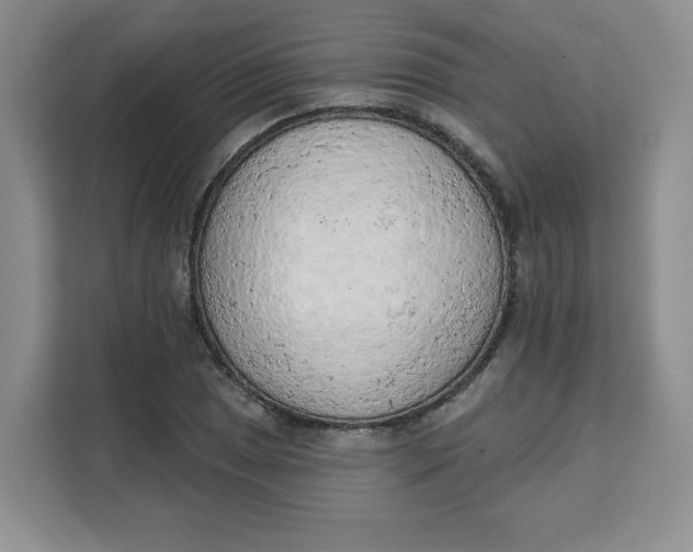 X0000111131025200907141206