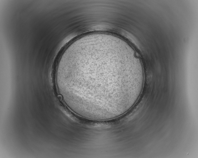 X0000111131026200907141206