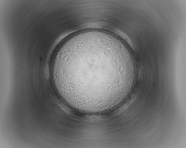 X0000111131027200907141207