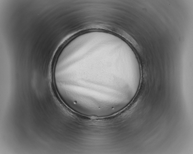 X0000111131028200907141207