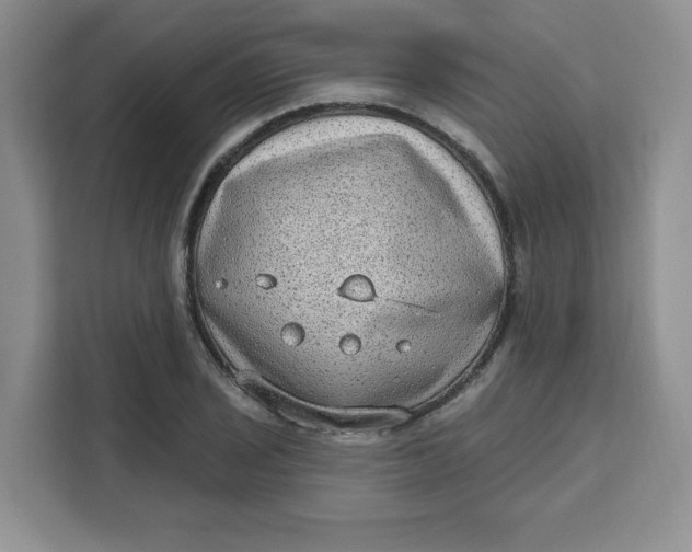 X0000111131029200907141207