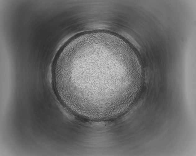 X0000111131031200907141207