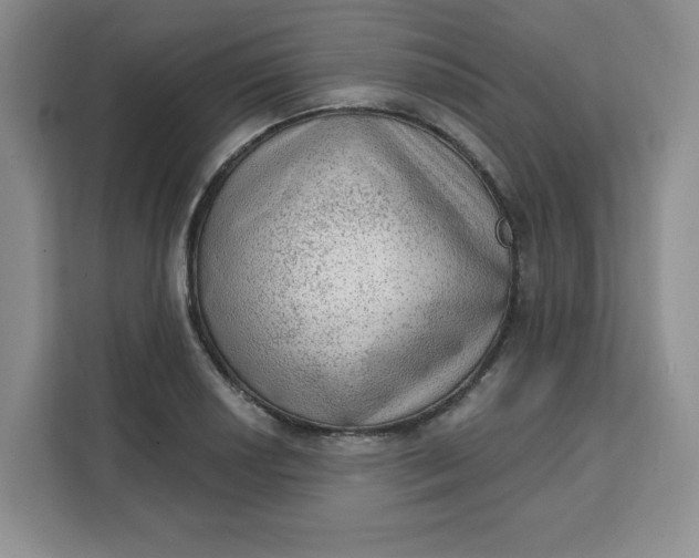 X0000111131034200907141207