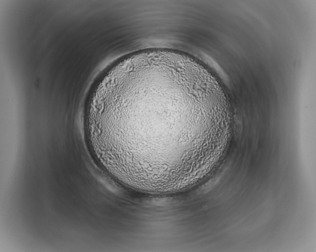 X0000111131035200907141207