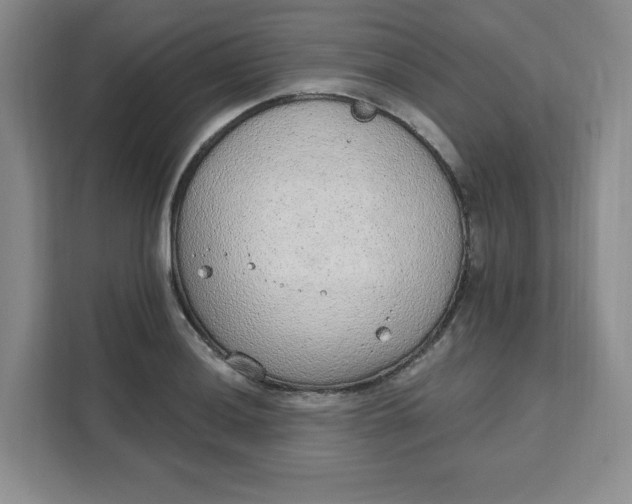 X0000111131036200907141207