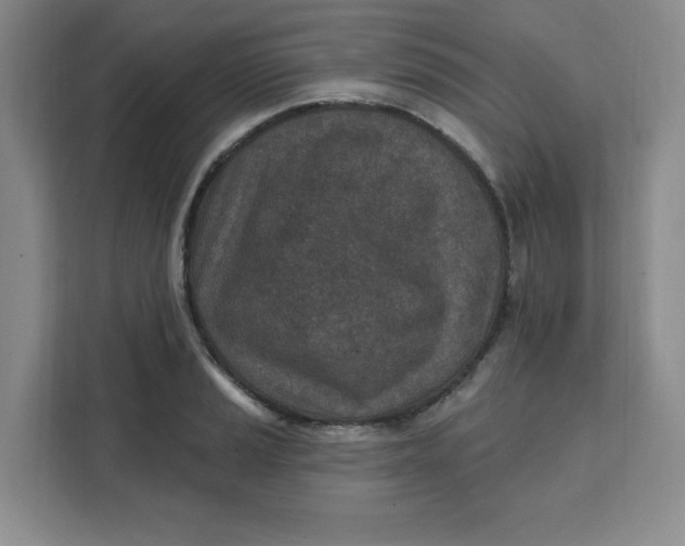 X0000111131037200907141207