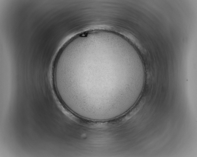 X0000111131038200907141207
