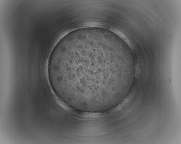 X0000111131039200907141207