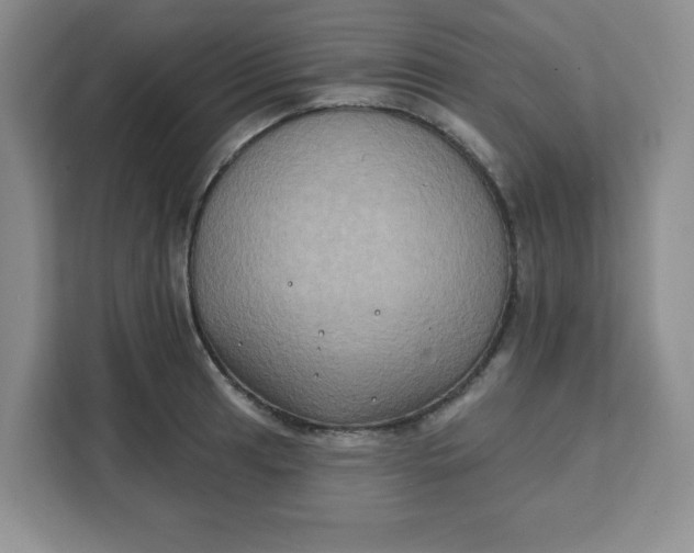 X0000111131041200907141207