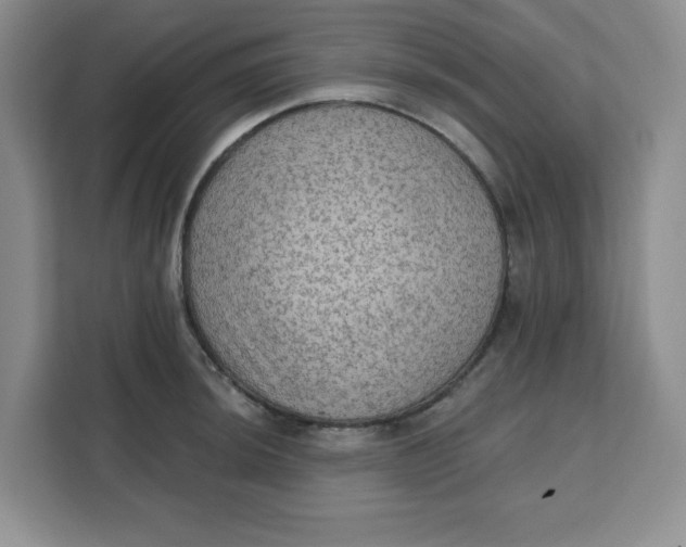 X0000111131044200907141207