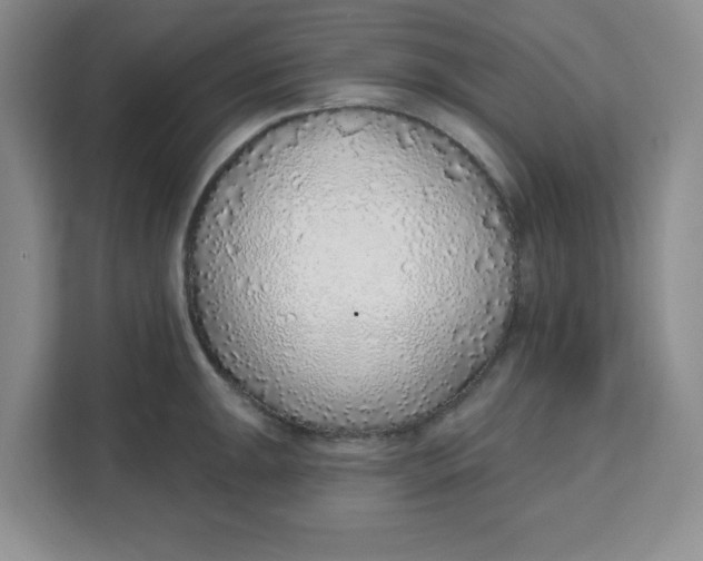 X0000111131047200907141207