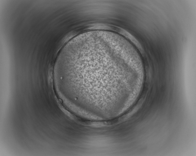 X0000111131049200907141207