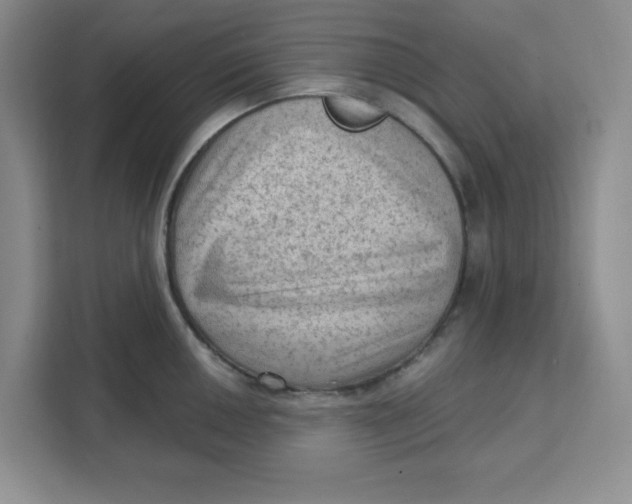 X0000111131050200907141207