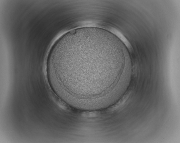 X0000111131051200907141207