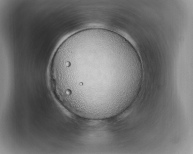 X0000111131056200907141207