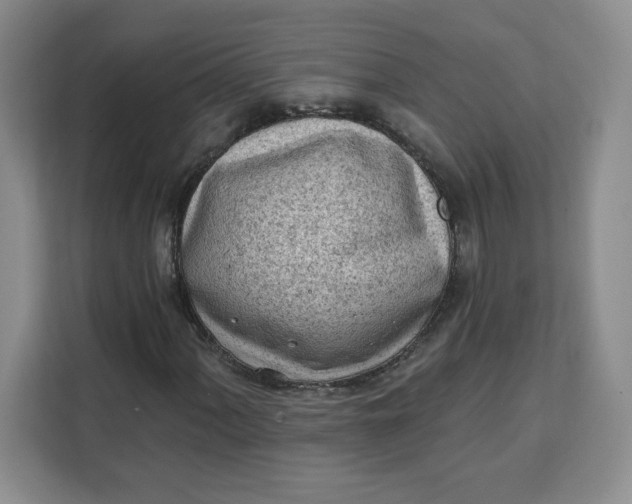 X0000111131060200907141206