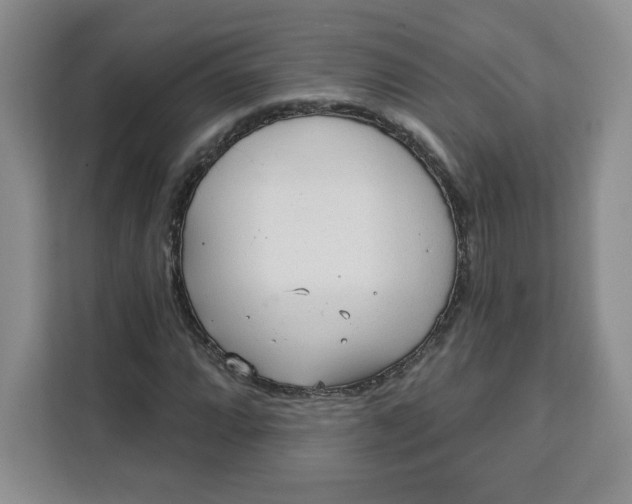 X0000111131064200907141206