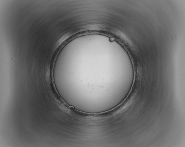 X0000111131065200907141206