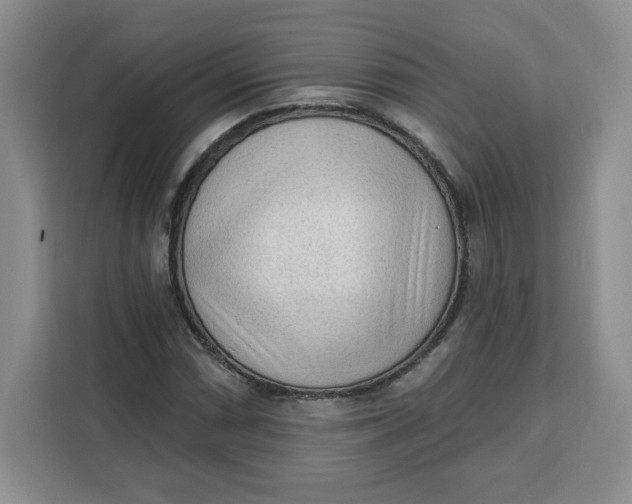 X0000111131066200907141206
