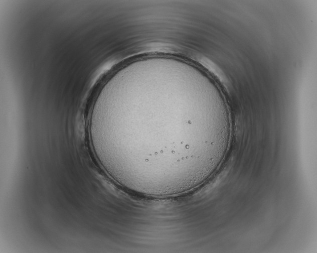 X0000111131067200907141206