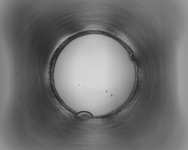 X0000111131068200907141206
