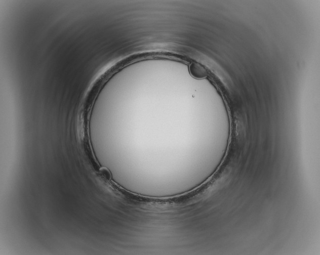 X0000111131069200907141206