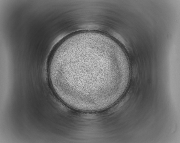 X0000111131071200907141206