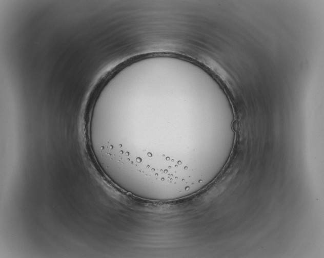 X0000111131072200907141206