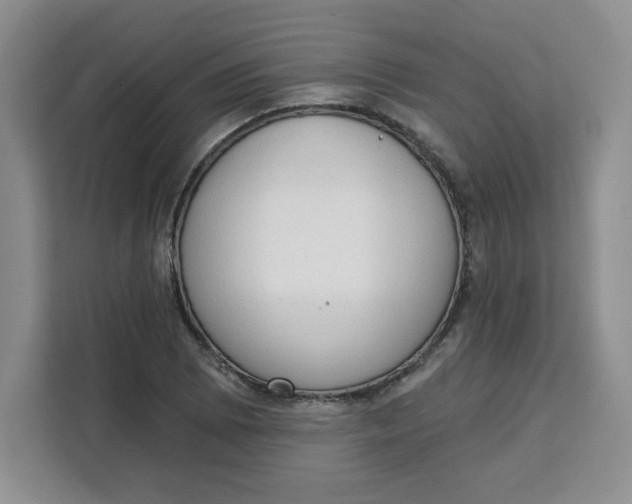 X0000111131073200907141206
