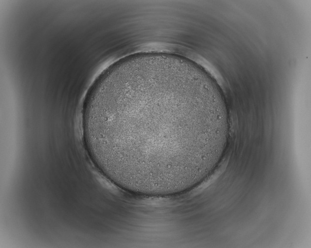 X0000111131075200907141206