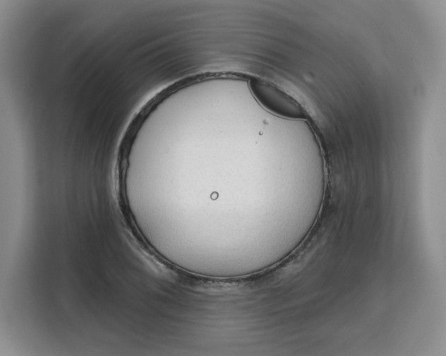 X0000111131076200907141206