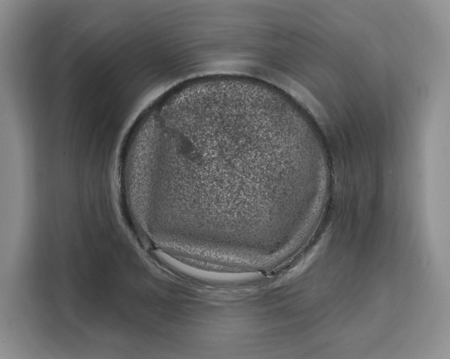 X0000111131077200907141206