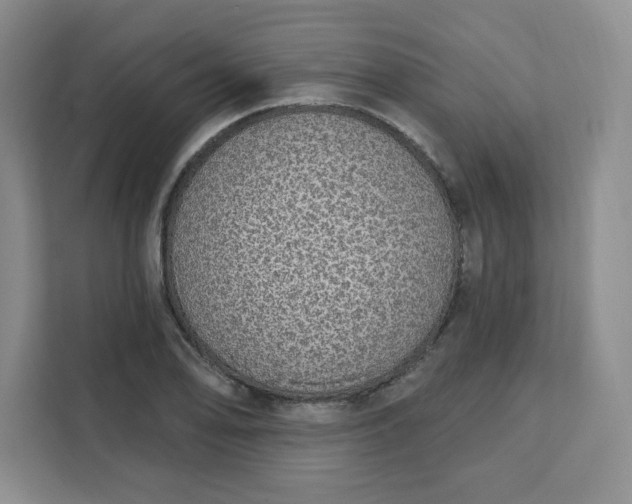 X0000111131078200907141206
